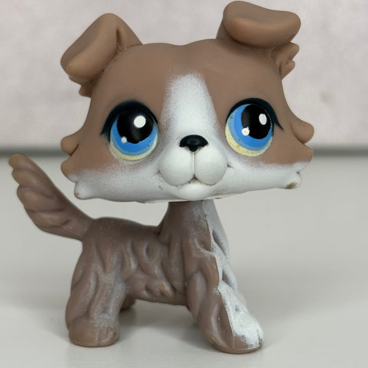 LPS Collie Dog #67*