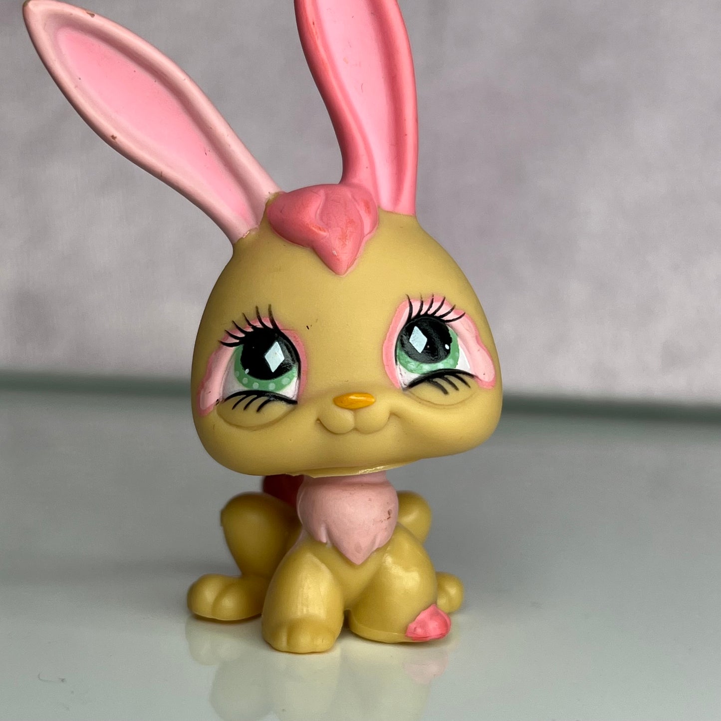 LPS Rabbit #506