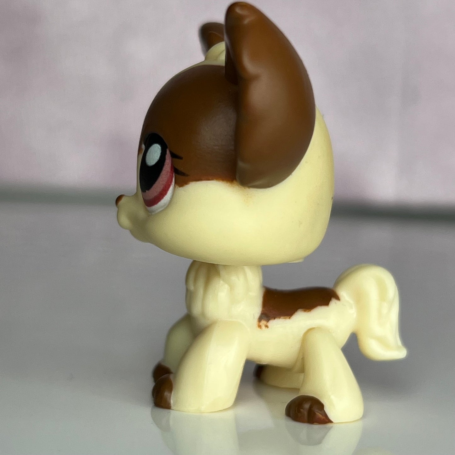 LPS Chihuahua Dog #385