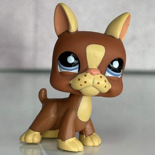 LPS Boston Terrier Dog