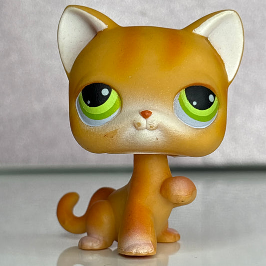 LPS Paw Up Shorthair Cat #11