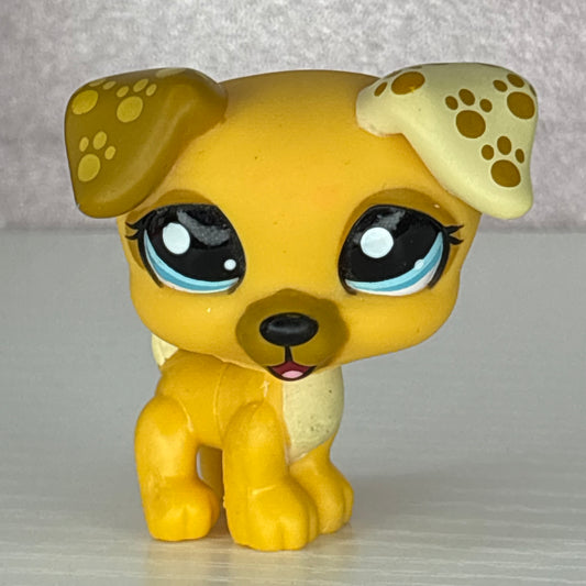 LPS Jack Russell Dog #1496
