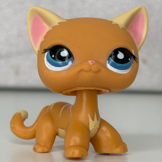 LPS Shorthair Cat No #