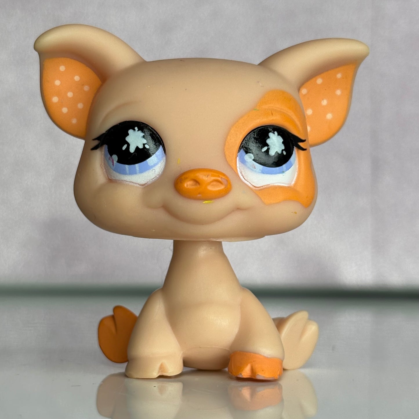 LPS Pig #885