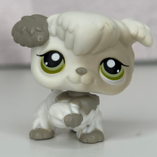 LPS Poodle Dog #203