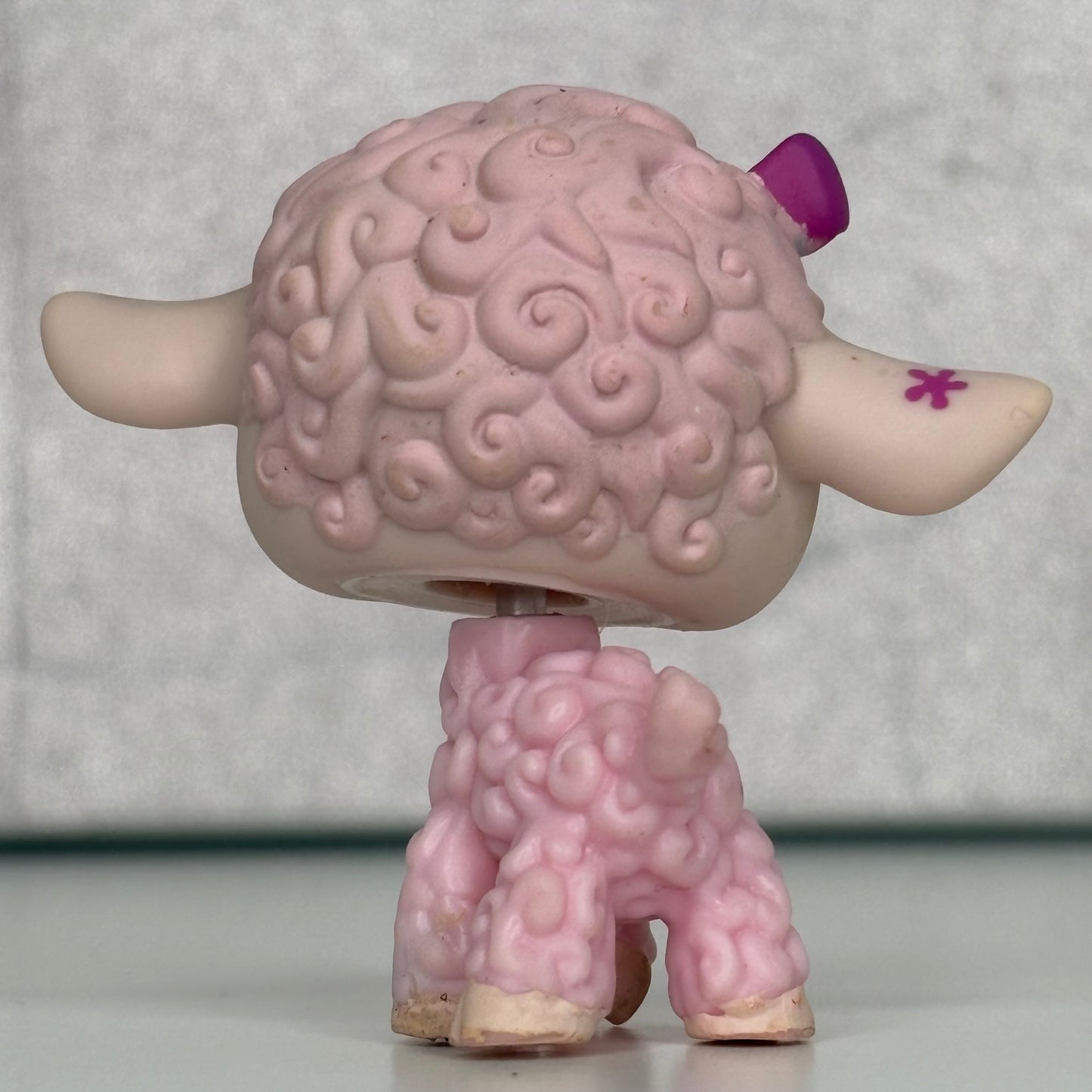 LPS Lamb Sheep