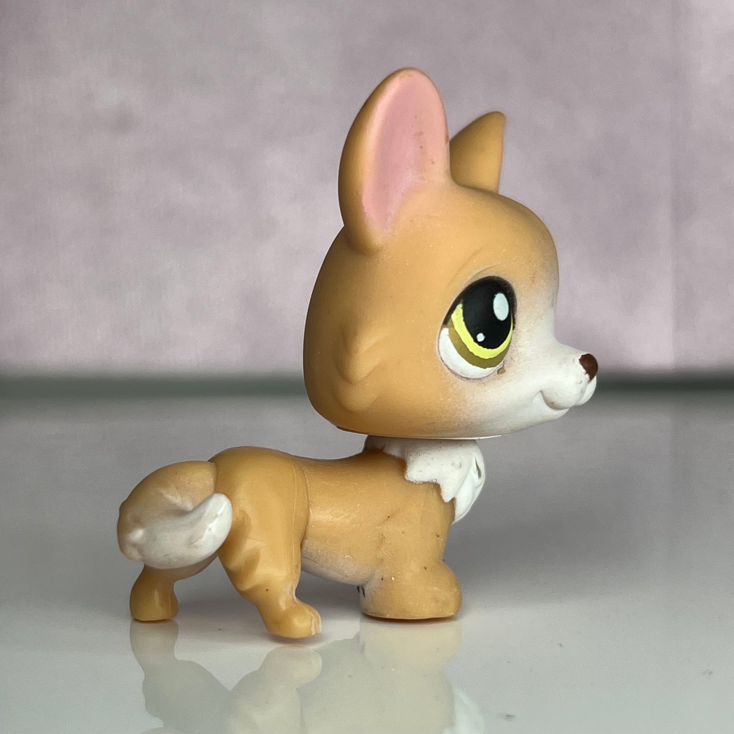 LPS Corgi Dog #183