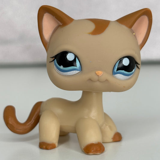 LPS Shorthair Cat #1023