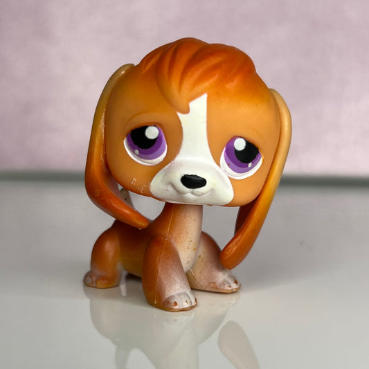 LPS Beagle Dog #301