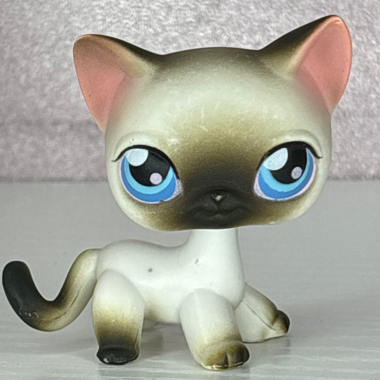 LPS Siamiese Shorthair Cat #5