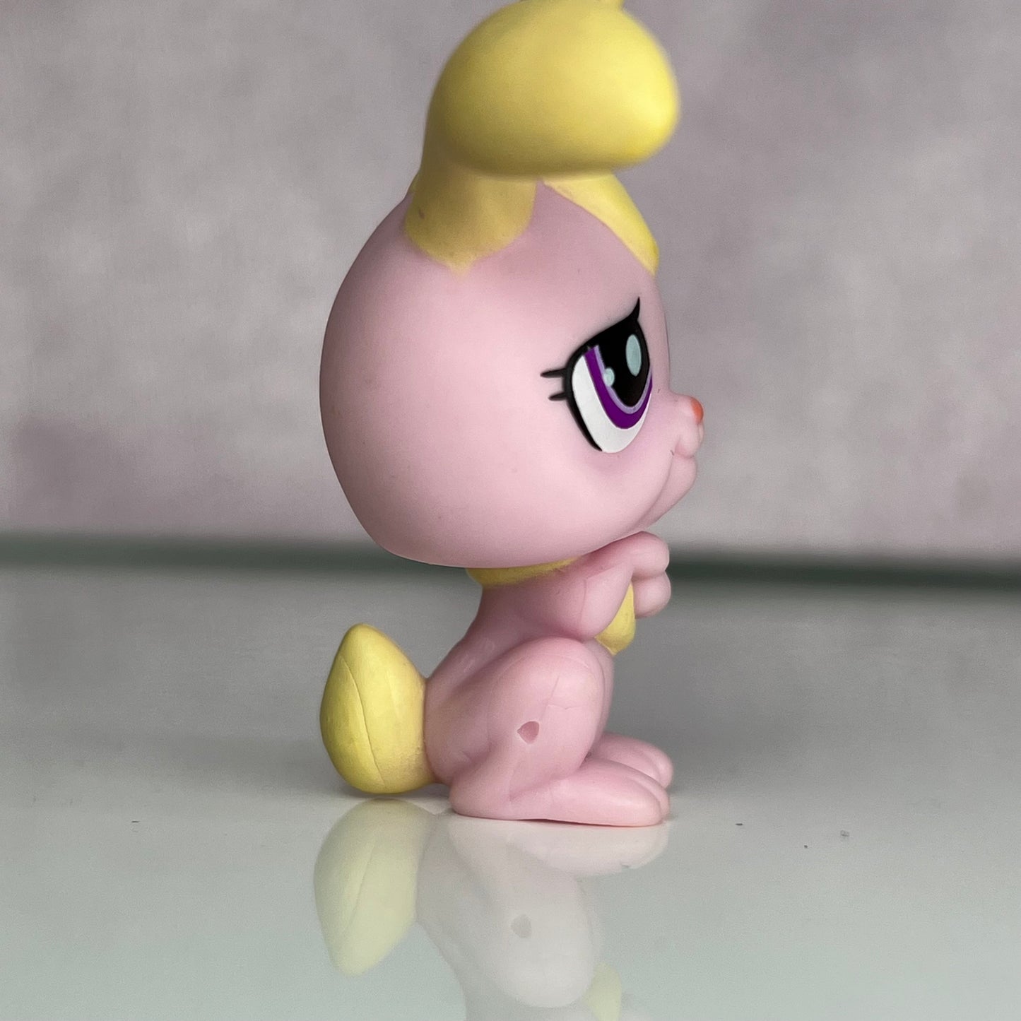 LPS Rabbit #1484