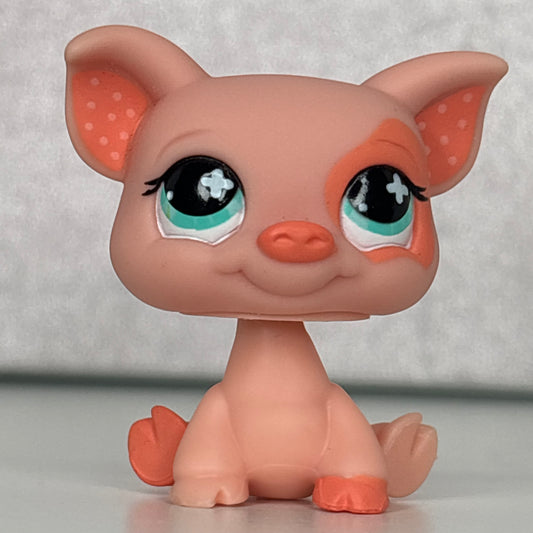 LPS Pig #622