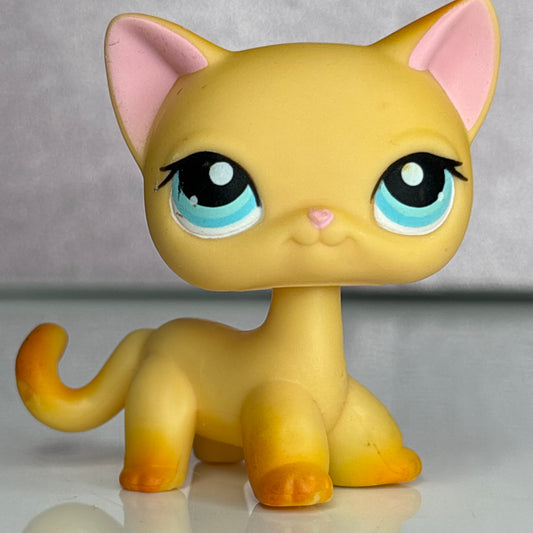 LPS Shorthair Cat #339