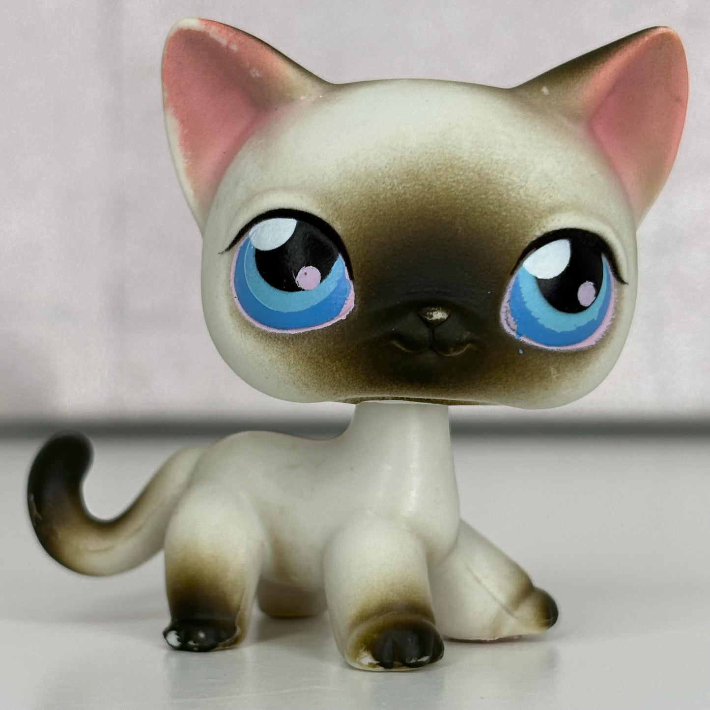 LPS Siamiese Shorthair Cat #5**