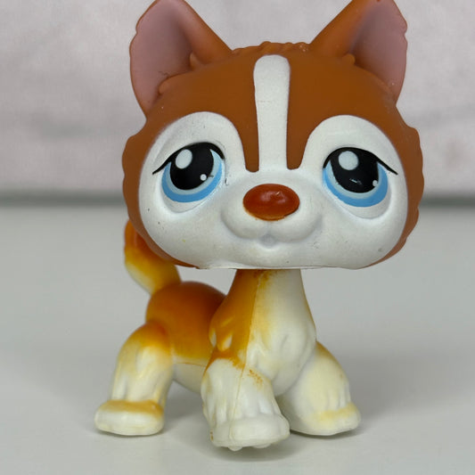 LPS Husky Dog #341