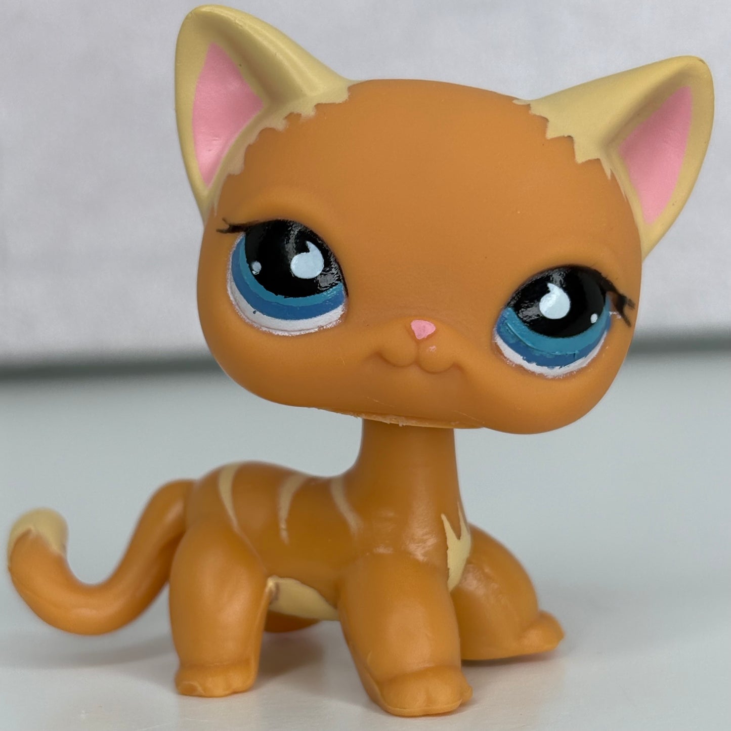 LPS Shorthair Cat No #