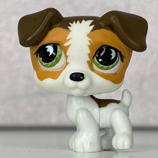 LPS Jack Russell Dog #804