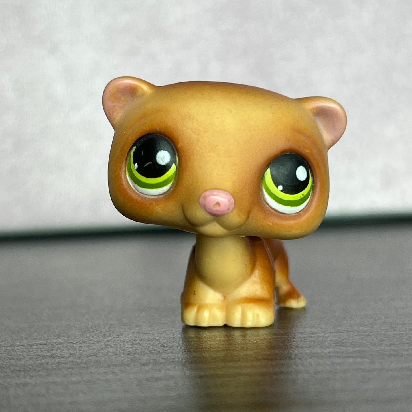 LPS Ferret #209