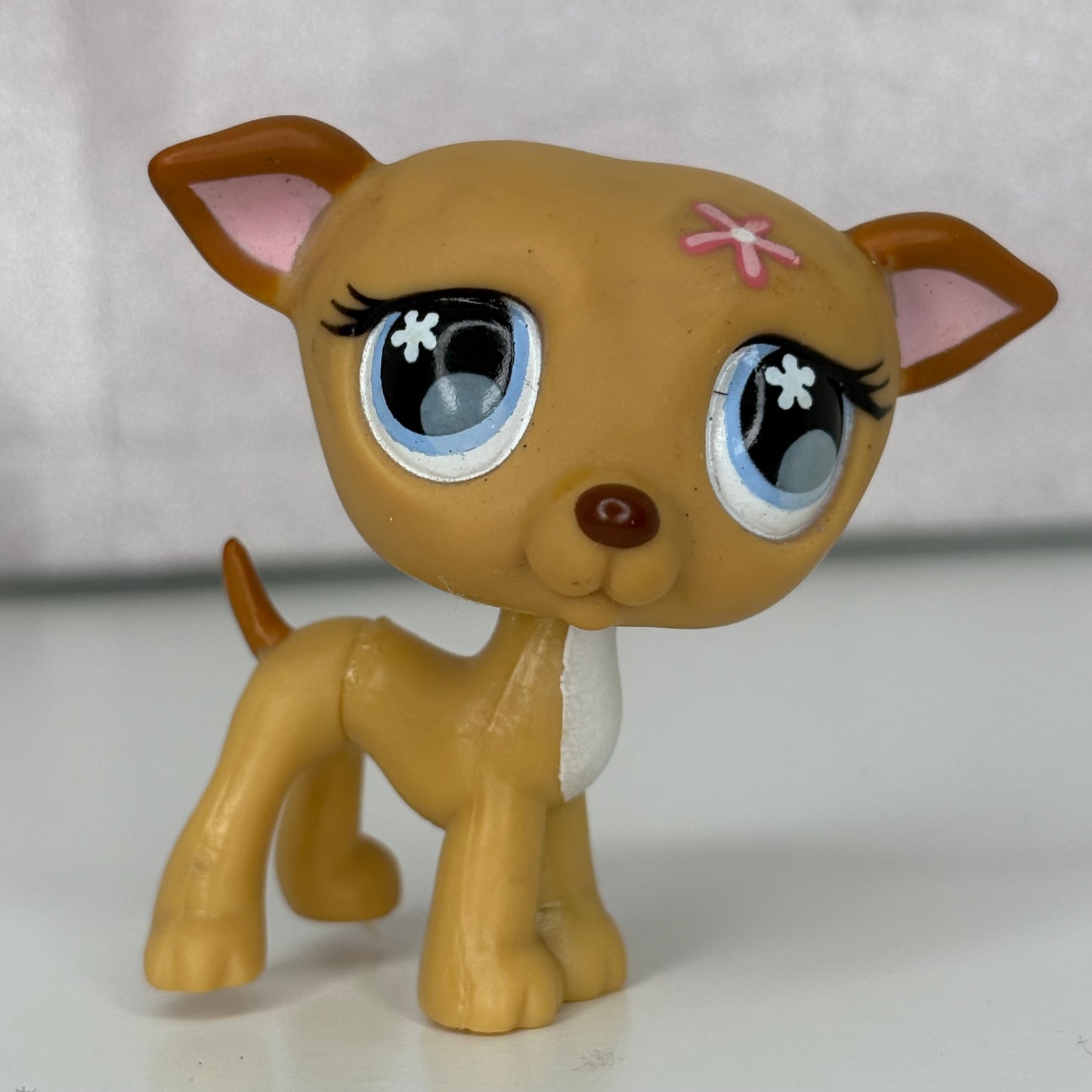 LPS Greyhound #498