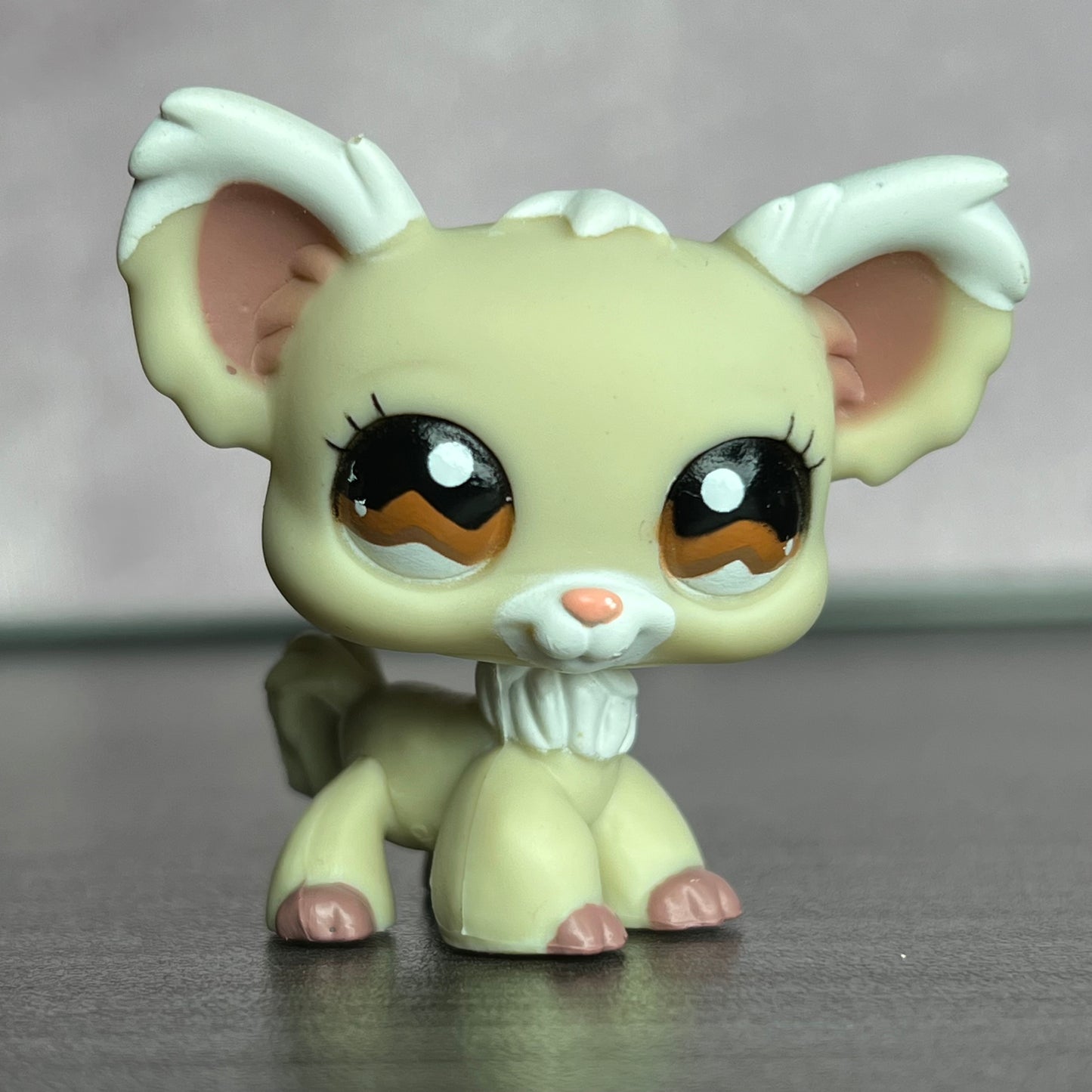 LPS Chihuahua Dog #1199