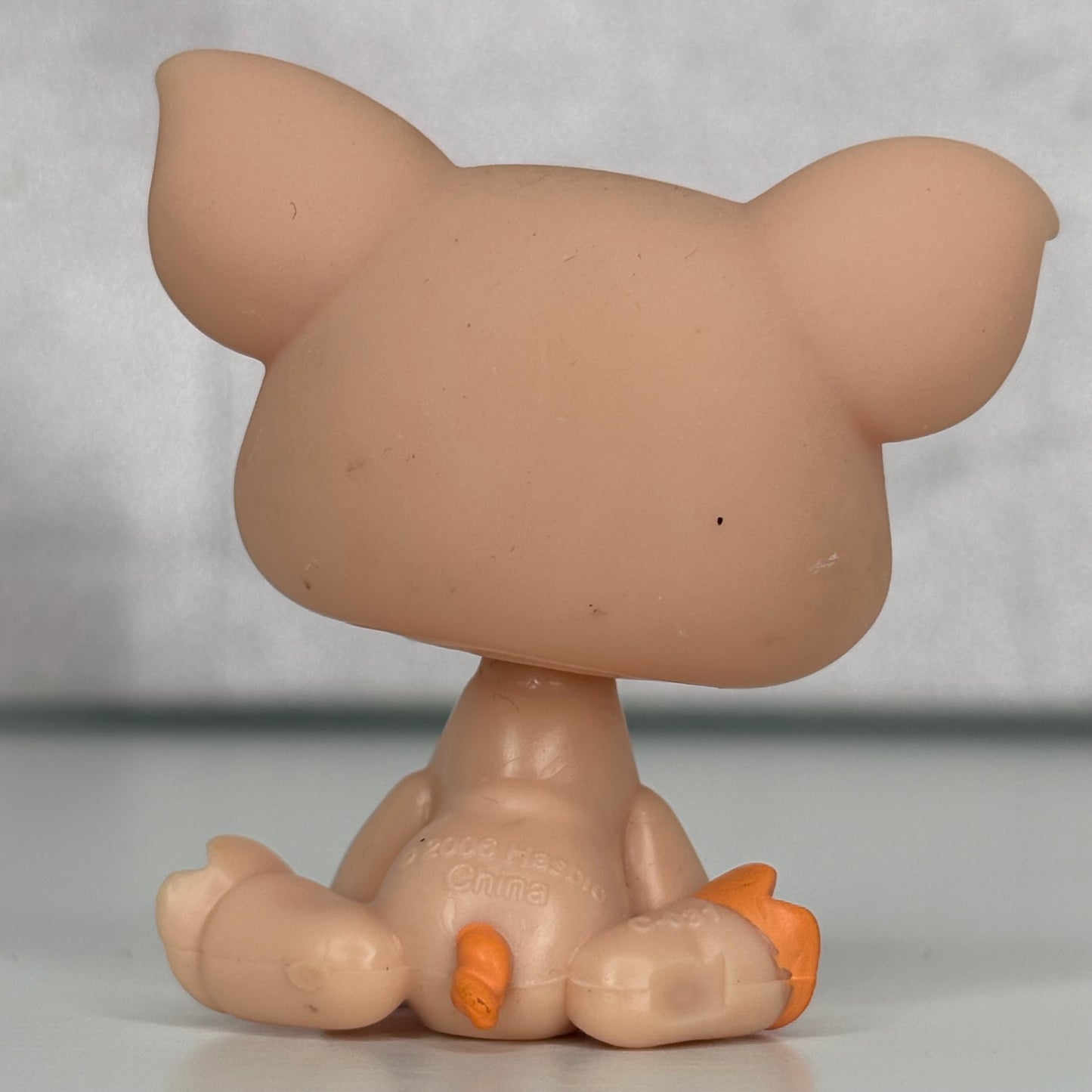 LPS Pig #885