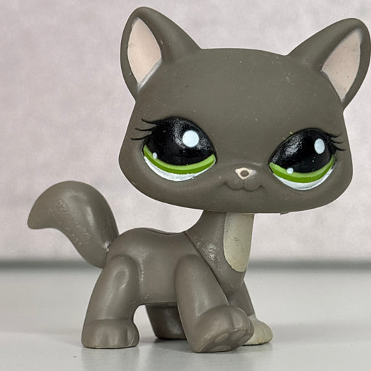 LPS Exclusive Destiny Cat