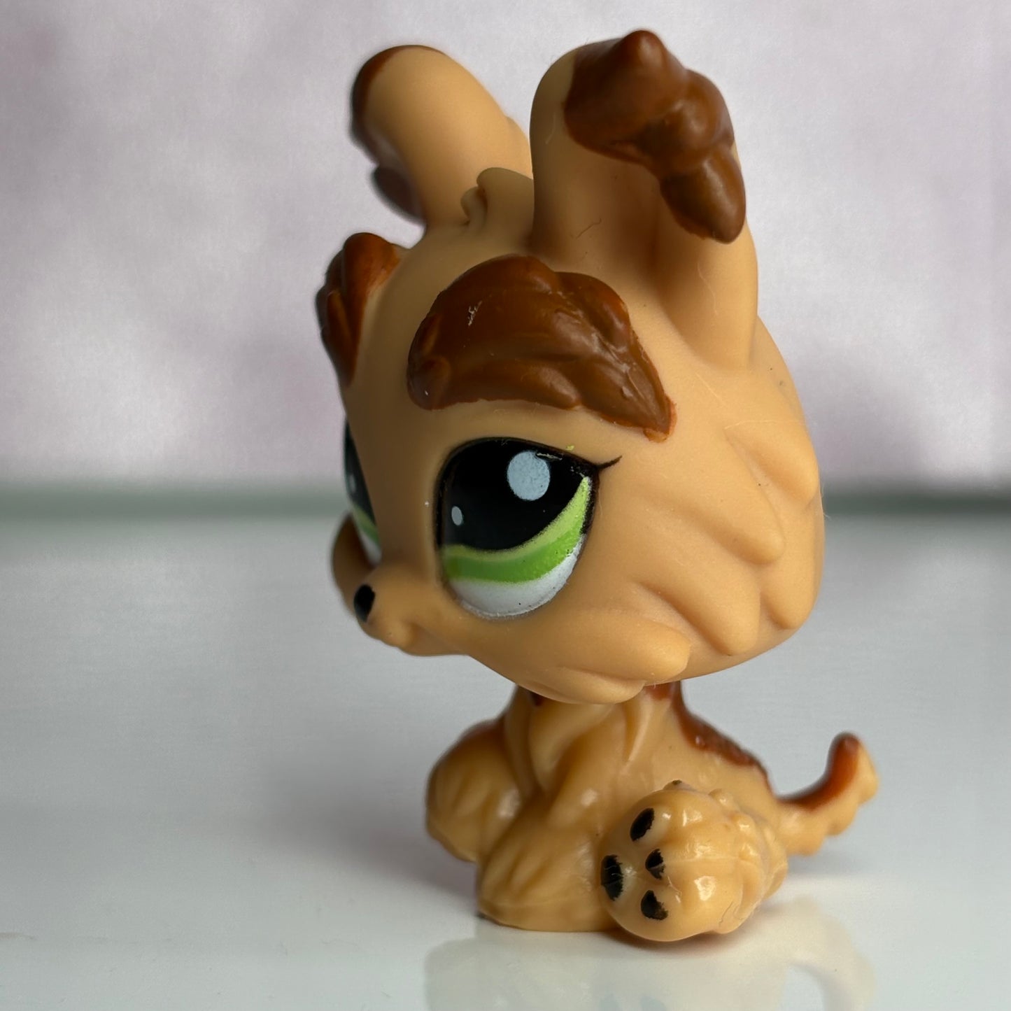 LPS Yorkie Dog #1016