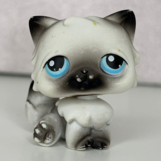 LPS Persian Cat #60*