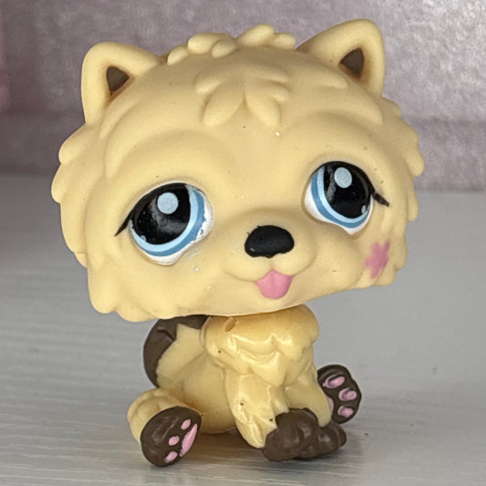 LPS Chow Chow Dog #662