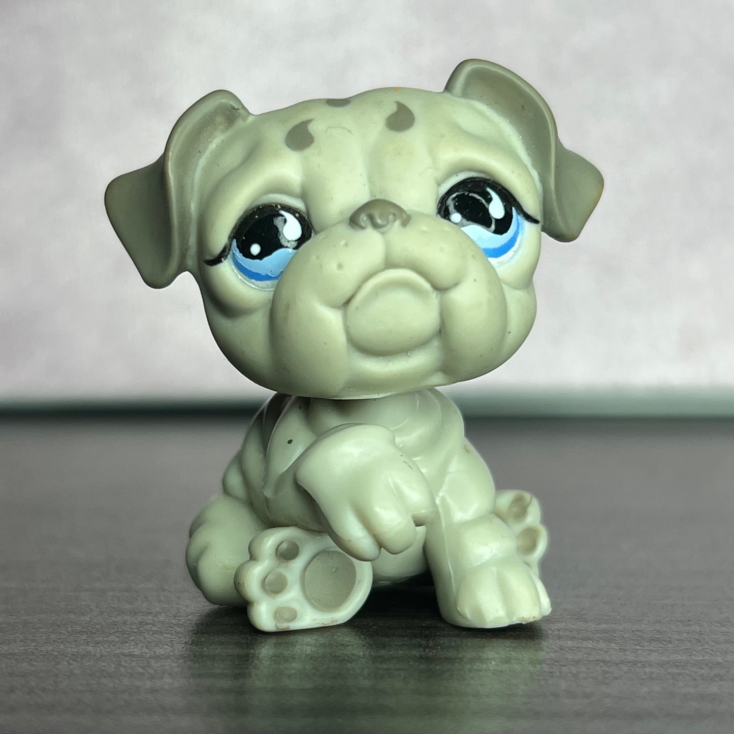 LPS Bulldog #508