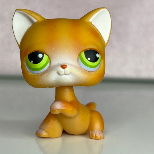 LPS Paw Up Shorthair Cat #11