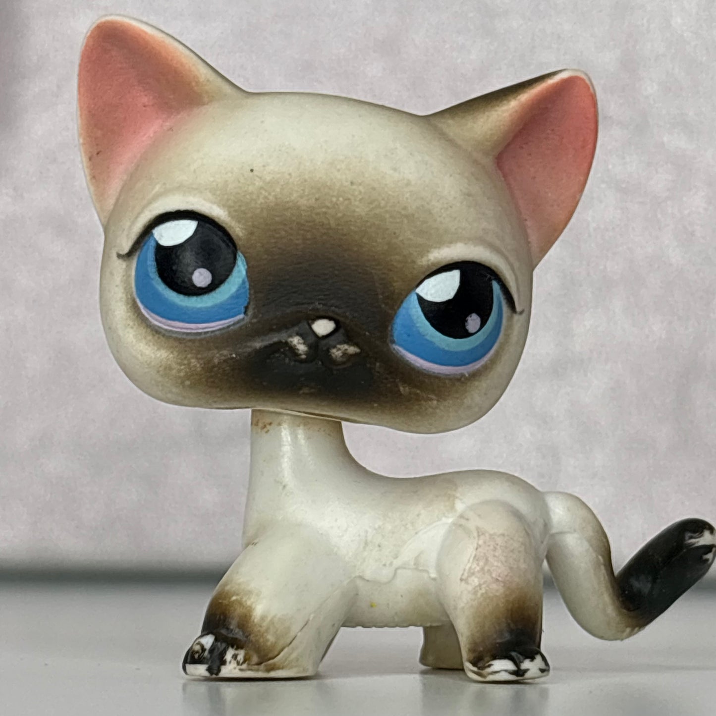 LPS Siamiese Shorthair Cat #5*