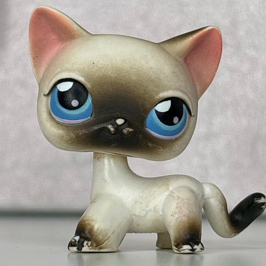 LPS Siamiese Shorthair Cat #5*
