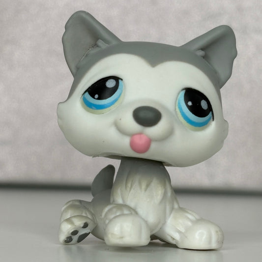 LPS Husky Dog #70