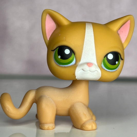 LPS Shorthair Cat #72