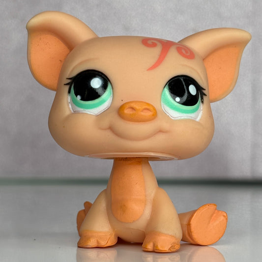 LPS Pig #998