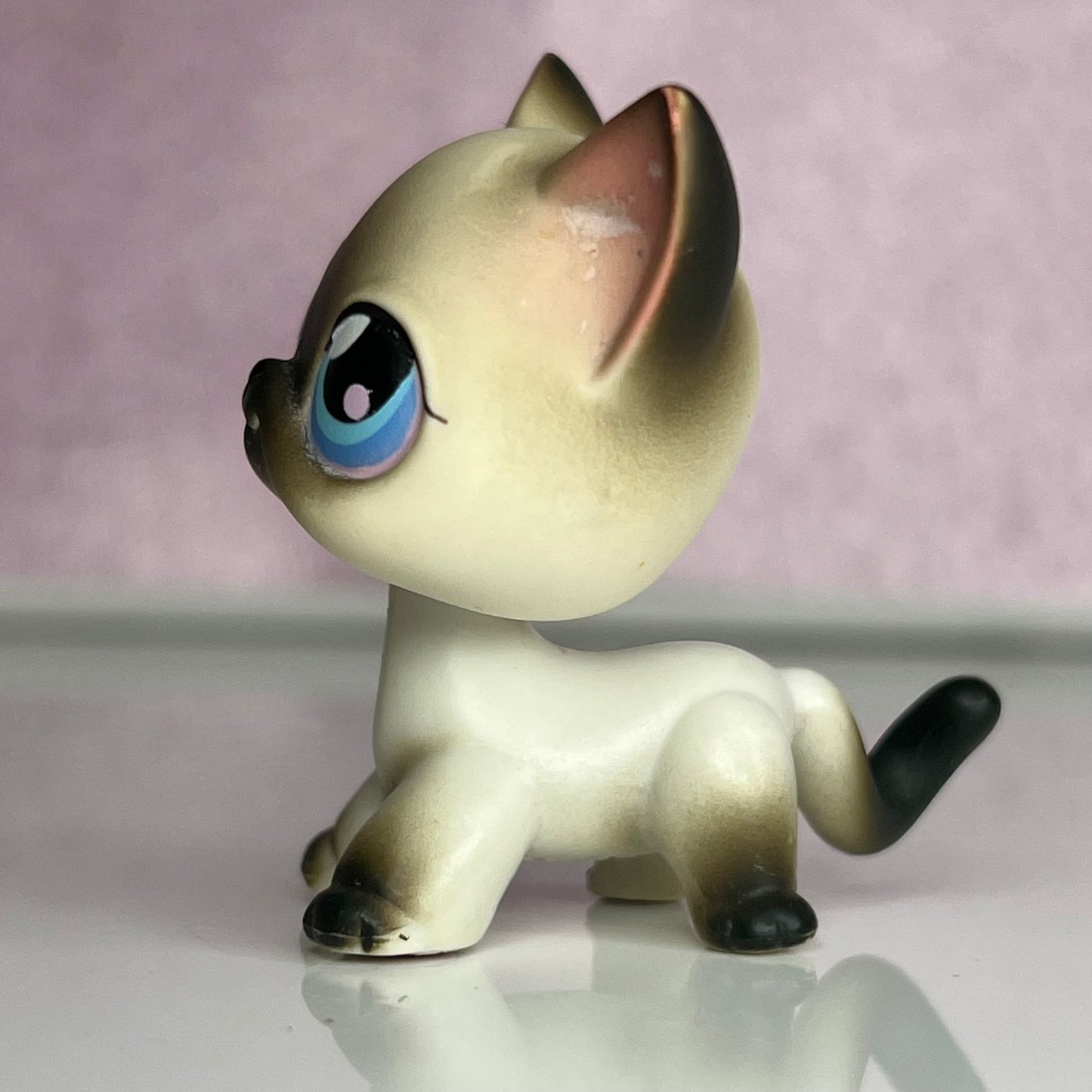 LPS Siamiese Shorthair Cat #5