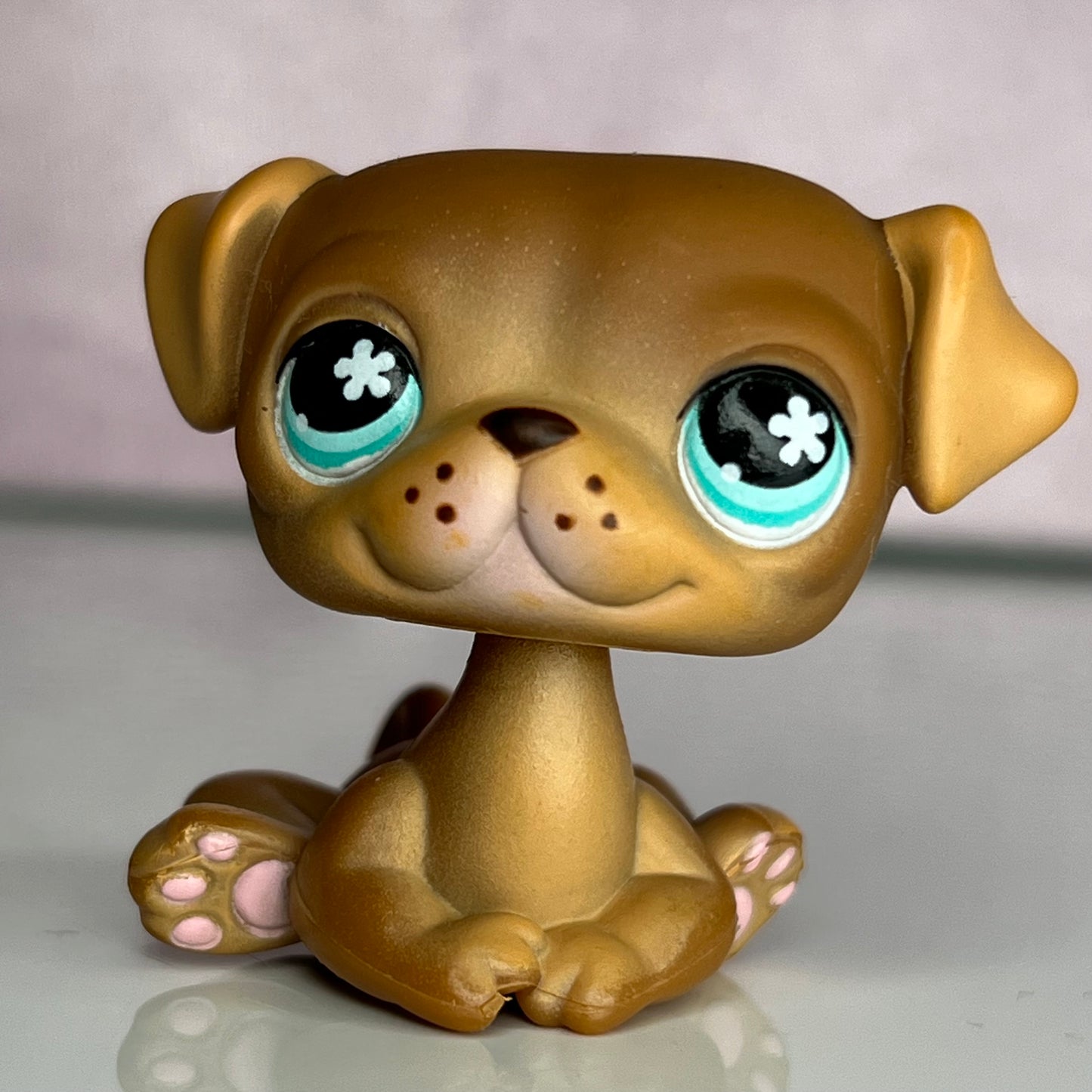 LPS No # Exclusive Pug