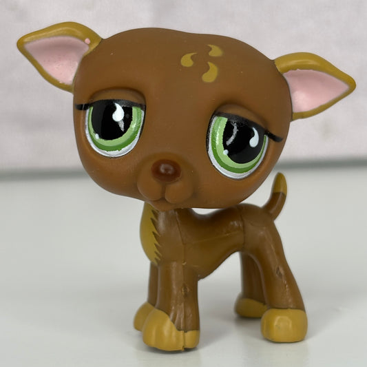 LPS Greyhound Dog #507