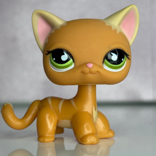 LPS Orange Shorthair Cat #525