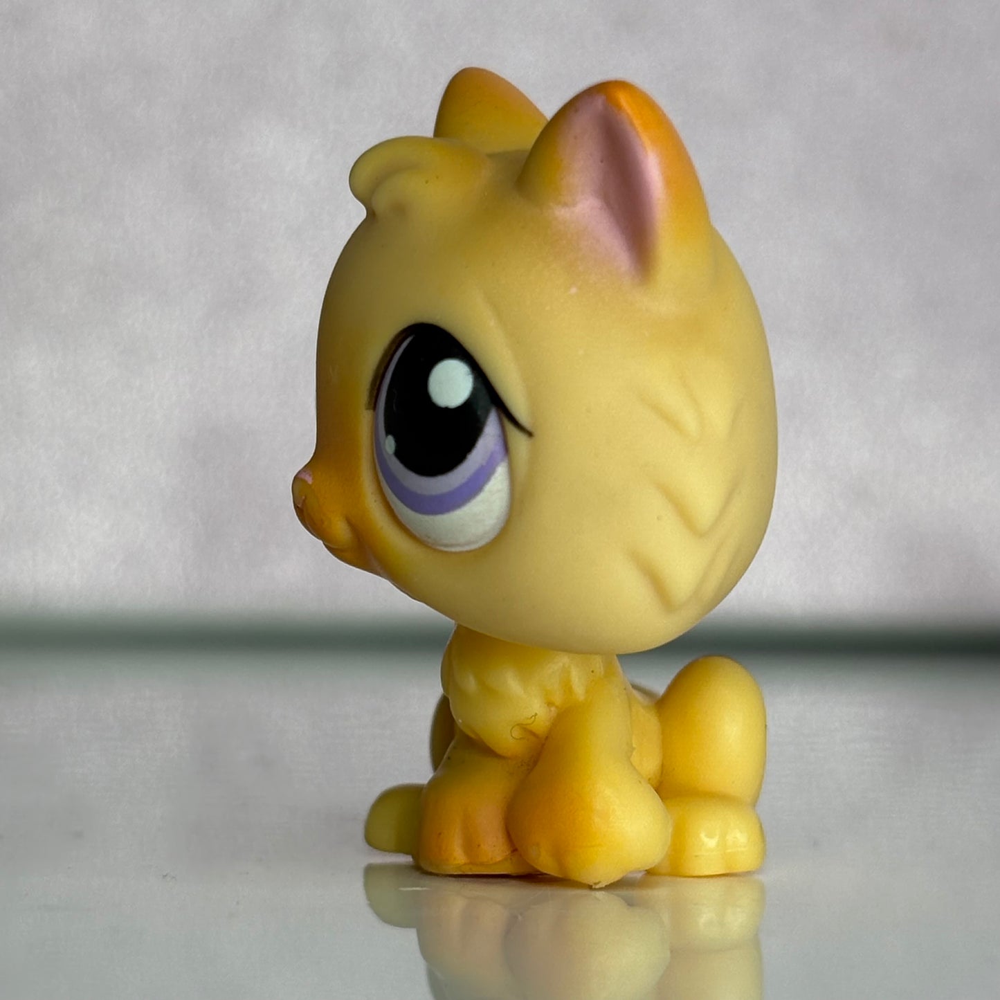 LPS Kitten #248