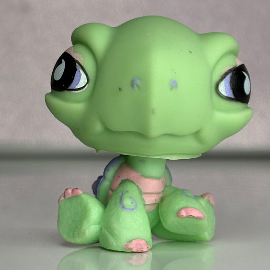 LPS Turtle #504