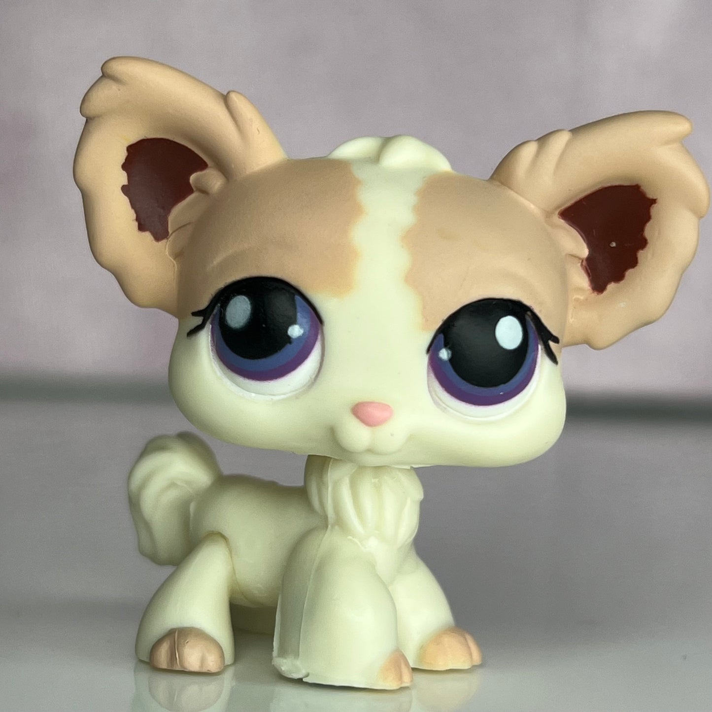 LPS Chihuahua Dog #438