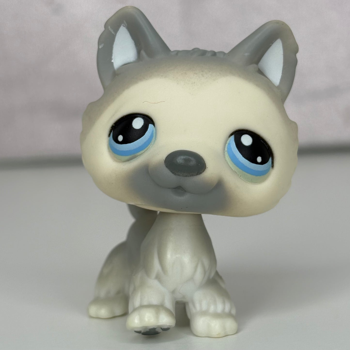 LPS Husky Dog #69