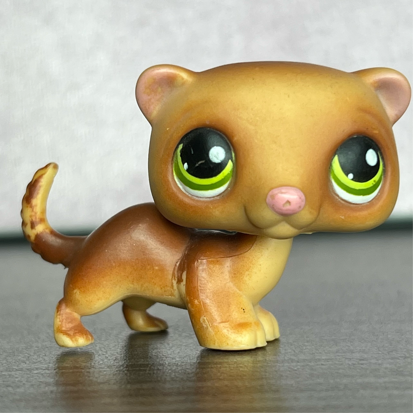 LPS Ferret #209