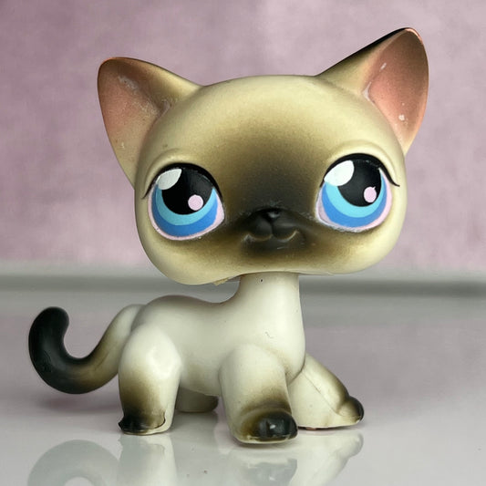 LPS Siamiese Shorthair Cat #5