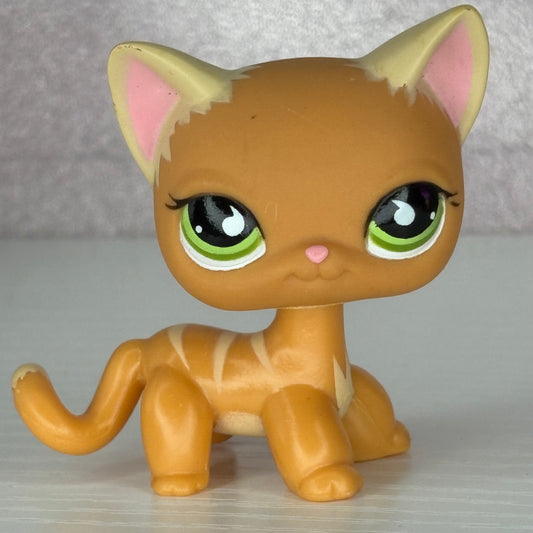 LPS Orange Shorthair Cat #525