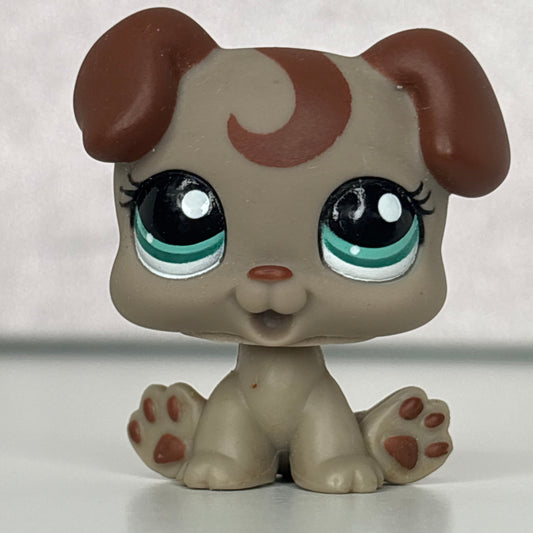 LPS Puppy Dog