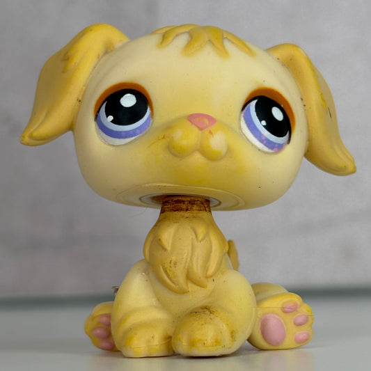 LPS Golden Retriever Dog #268