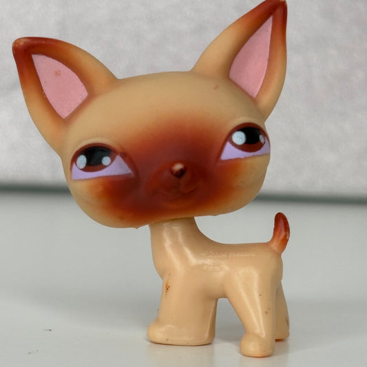 LPS Chihuahua Dog #1